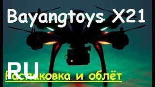 Купить Bayangtoys X21
