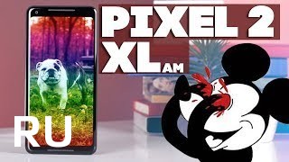 Купить Google Pixel 2 XL