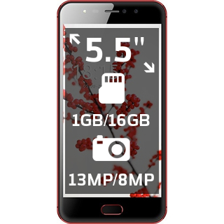 BQ Mobile BQ-5521L Rich Max