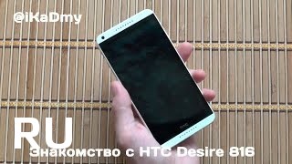 Купить HTC Desire 816