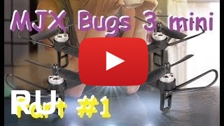 Купить MJX Bugs 3 Mini