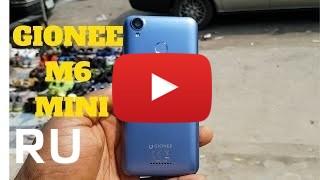 Купить Gionee S10 Lite