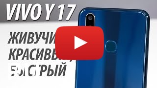 Купить Vivo Y17