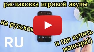 Купить Xiaomi Black Shark